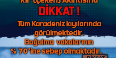 SaveClip.App_499573005_17908684185140699_3687593910616078649_n