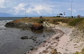 931650_0db29c45d7594dca81aa3c80069a2103~mv2