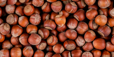 Close-up shelled hazelnuts . horizontal