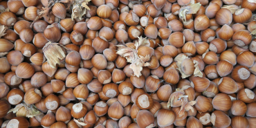 full-frame-shot-hazelnuts