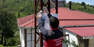 SaveClip.App_546635115_18184648480336672_4459683897933266392_n