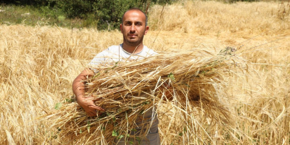 istanbul-dan-ordu-ya-uzanan-ciftcilik-oykusu-basariya-donustu_3472