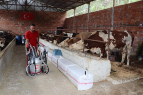 sutun-degeri-artiyor-ureticinin-yuzu-guluyor_3159